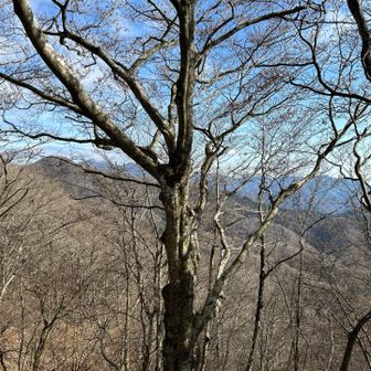 城ケ尾山〜城ケ尾峠より畦ヶ丸、丹沢表尾根