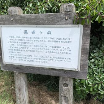 長者ヶ森の説明看板②