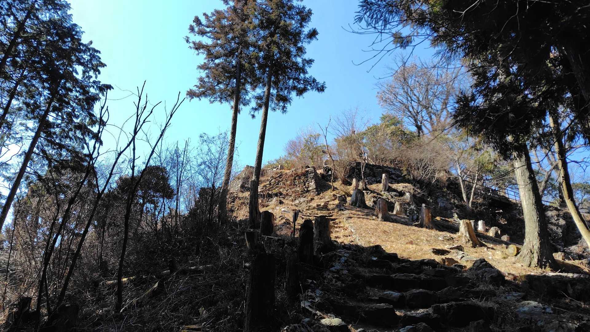 山頂見えた
