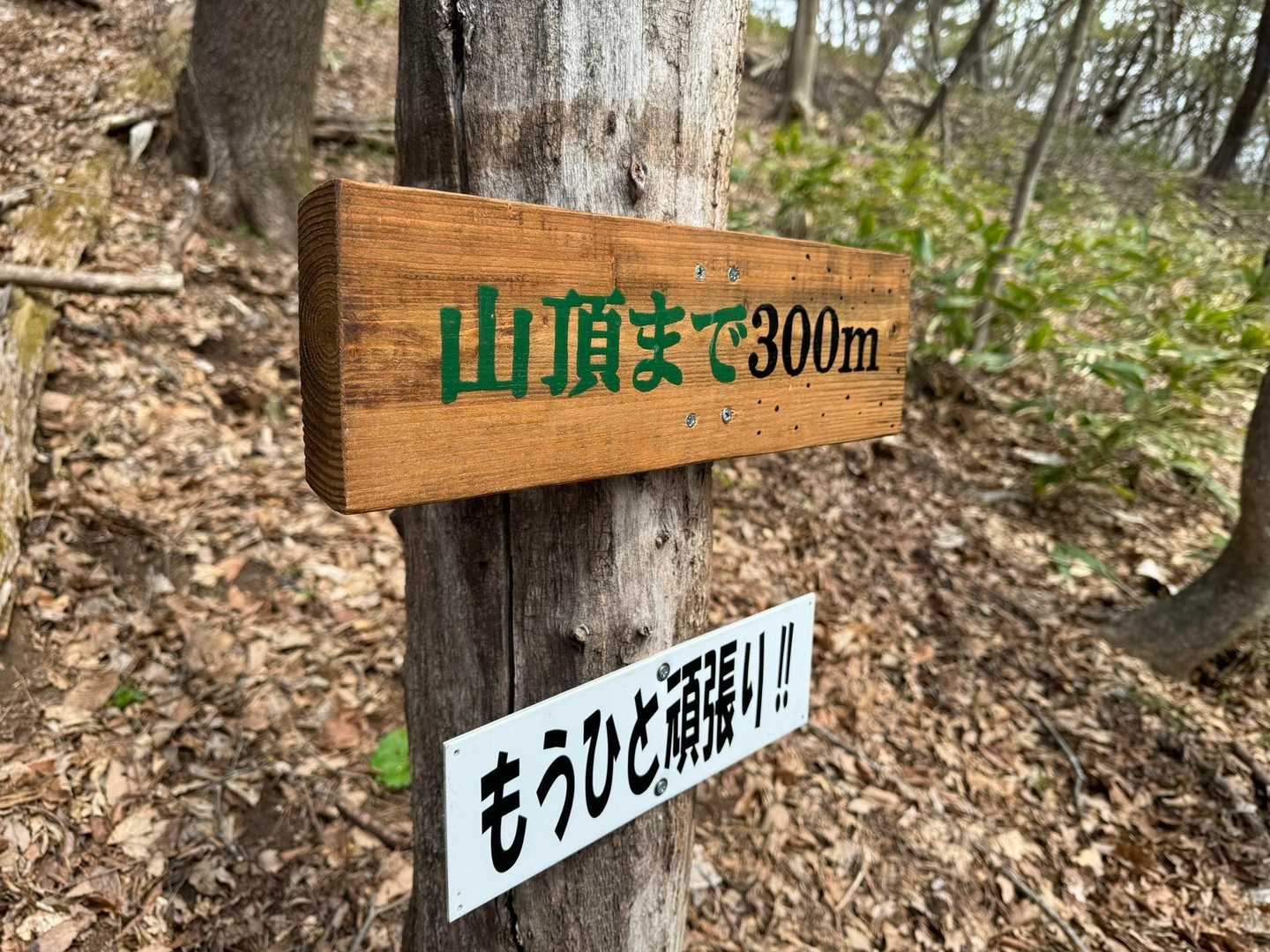 高土山登山道入口-高土山 周回コースの写真