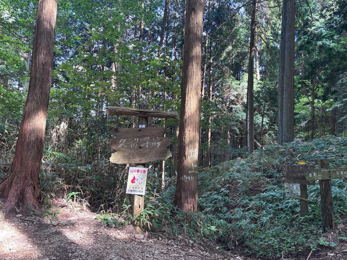 久留野峠から降ります
