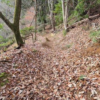 落ち葉の下が怖い
要注意