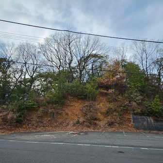 せっかくだから頂上へ△