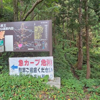 ここから出てきました。
ここまでの道が割とキケンなので注意が必要です！