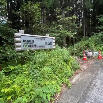 別当出合から猛スピードで帰ってくる
🚌を横目に釈迦新道登山口へ