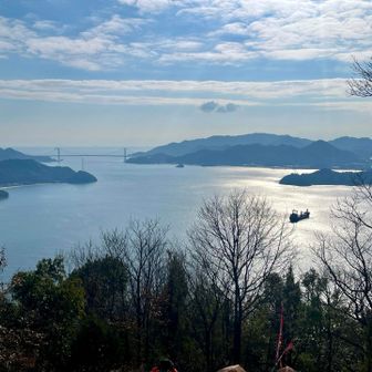 大分上がってきた。いい天気で☀️、瀬戸内海が冬の太陽☀️に照らされて最高😃
