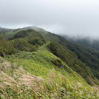 風も強いし、帰りますかー。