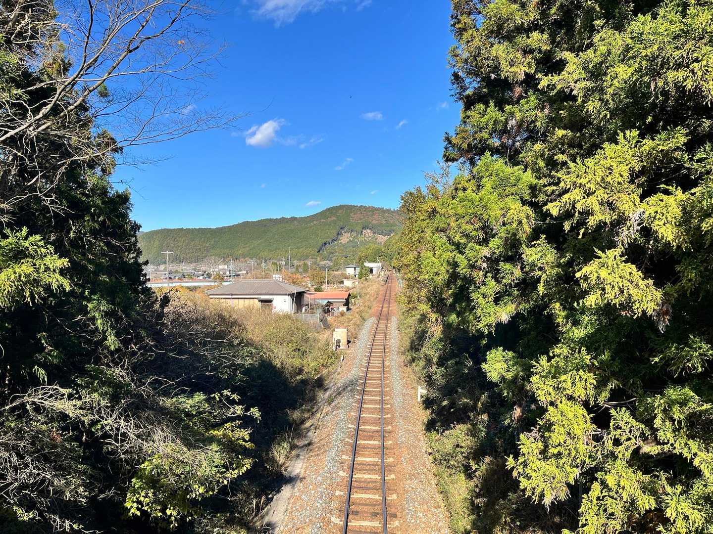 JR紀勢線の上に出て来ました