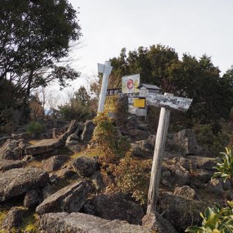 山頂に着いた✨