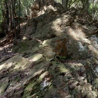 岩ゴツゴツの中を自由にルートをとって登る