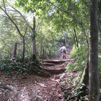 しばらく鳥を探したけど、いない。
登山開始