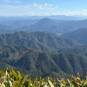 青野山は山容で直ぐわかります