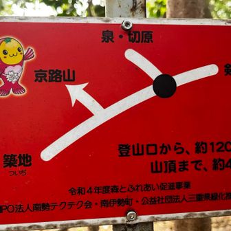 テンベのヌタ、大広山への分岐