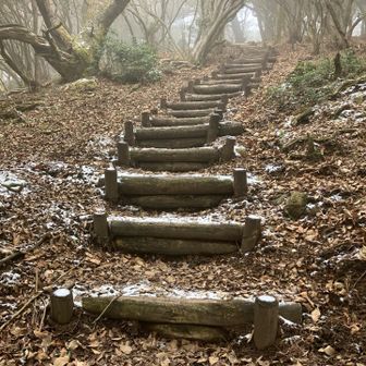 登るにつれて、積雪の跡がチラホラと。