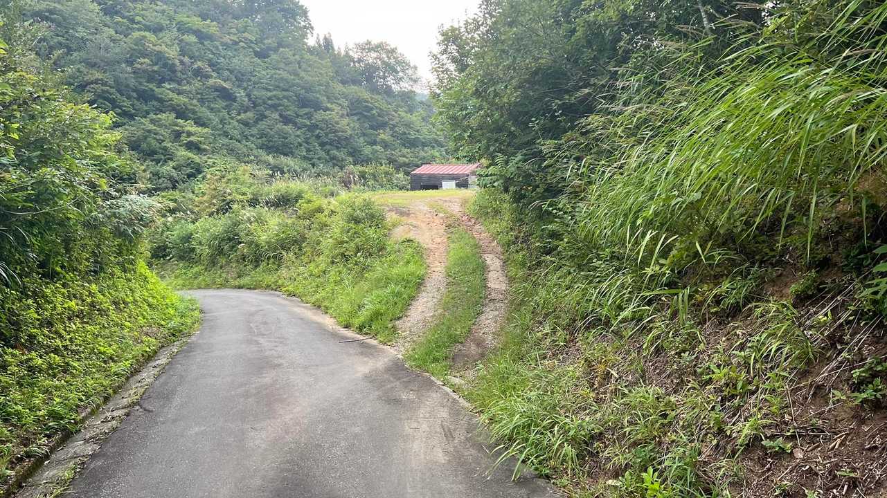 信越トレイル#2（sec.2-3／赤池〜涌井〜桂池〜仏ケ峰登山口〜上境駅） の写真 33