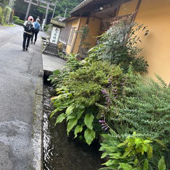 綺麗にされている料亭の表玄関〜左手へ