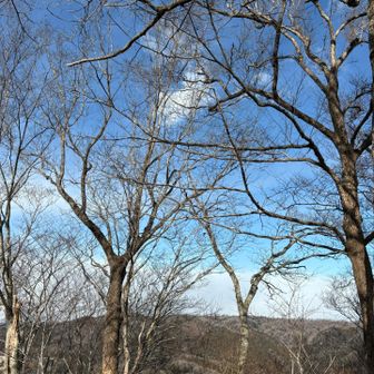 太白山ブルー🩵