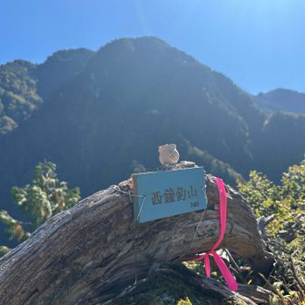 一番奥のガケの上に設置