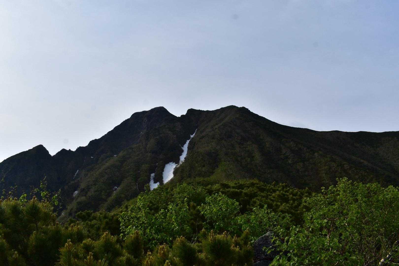 やっと山頂見えてきた