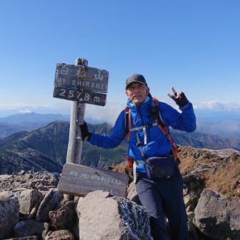 jepense（ジュパンス）