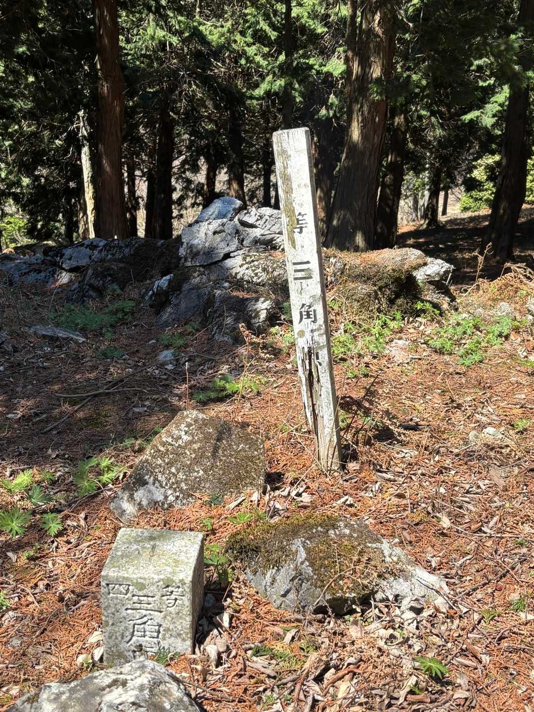 静かなるお立ち台-威徳山-裏山 往復コースの写真
