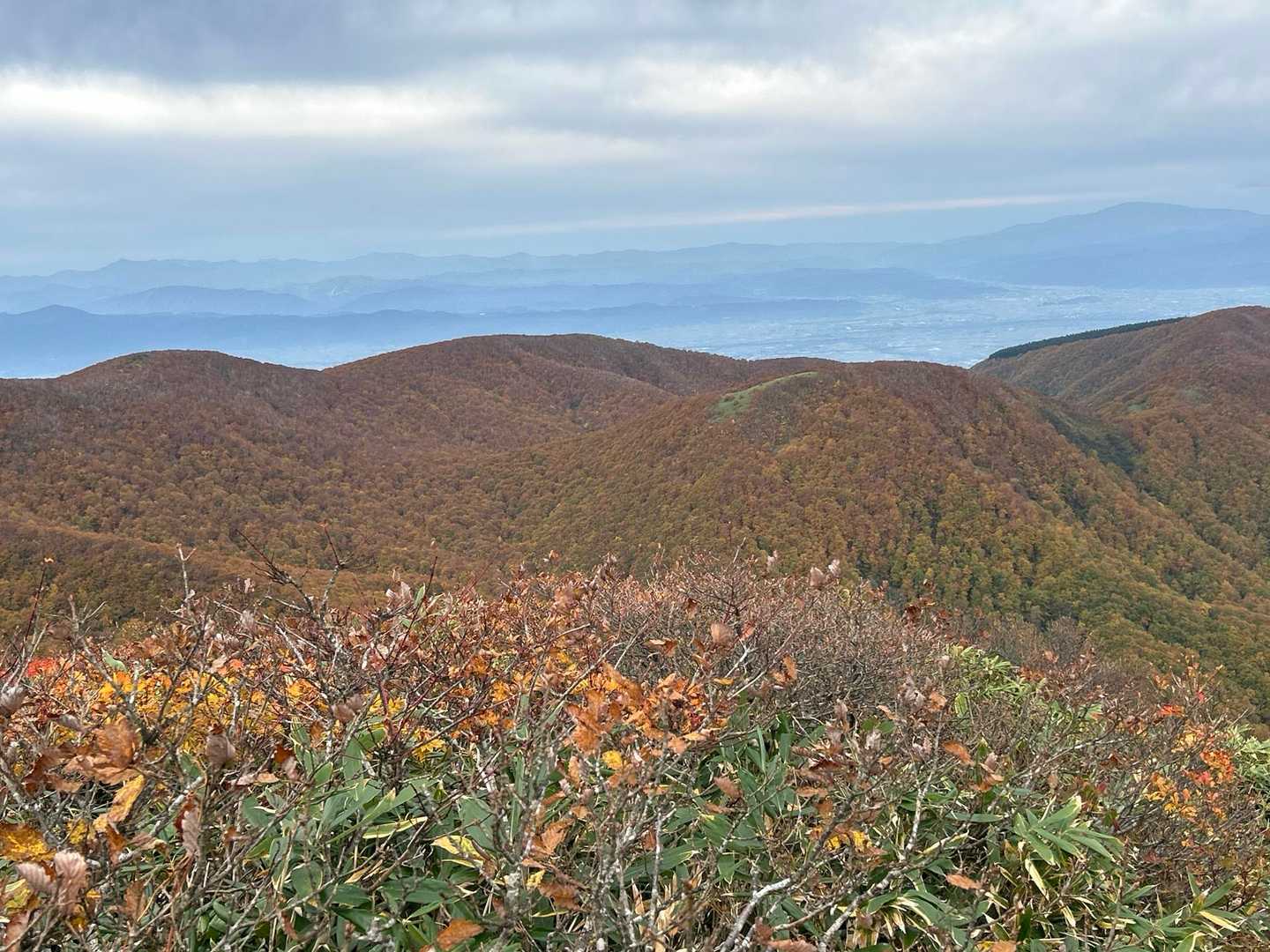 大関山-ハマグリ山-トンガリ山-山形神室岳-ダンゴ平-仙台 往復コースの写真