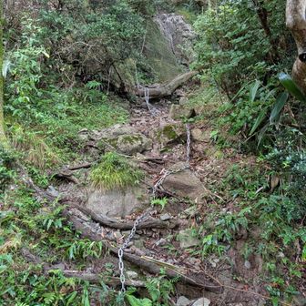 ↑最後の鎖場⛓️
此処を登りきったら…