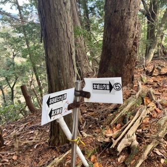 少し進むと、右にグイッと曲がるポイントが。
復路で間違えやすい場所でした。