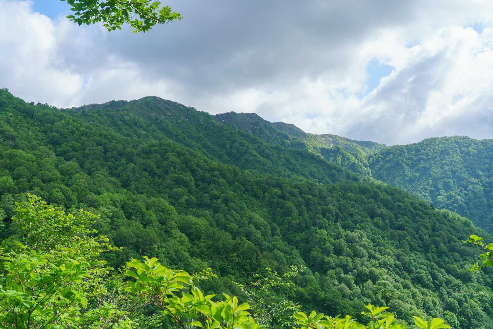種蒔山・三国岳・疣岩山