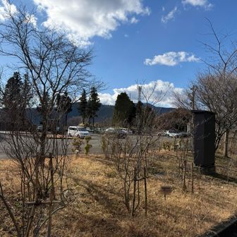 一先ず大野山へ行ってきます！