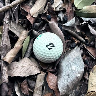 タマゴ🥚あるでしょ！
来年新しい生命が誕生するんだよね🐣
今は、恐竜が沢山居るから危険ですね！