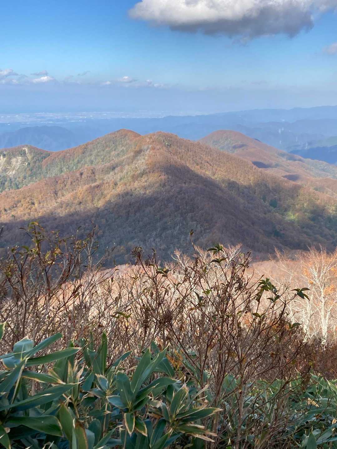 下山し鈴ケ岳方面