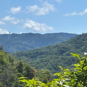 東の方ちょっと遠くに『和泉葛城山』