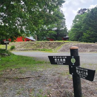 赤城神社見えてきた
