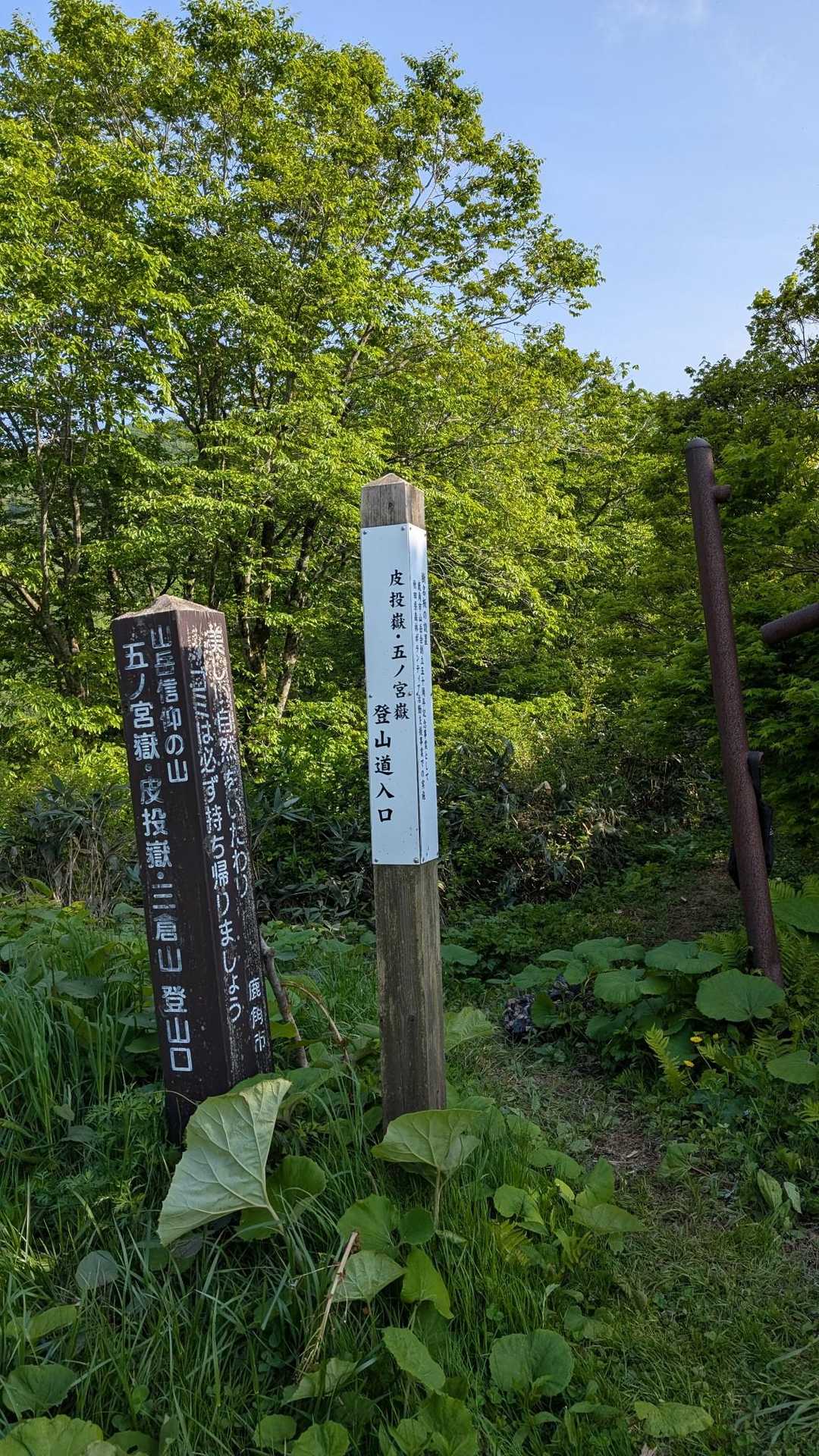 道の駅から15分で来れた登山口！夕暮れ前までにピストンで戻れるだろうからスタート！😏