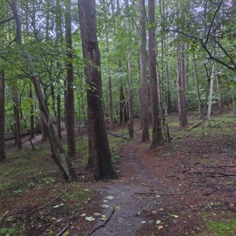 出発時、少し雨が降っていたので雨具着用でスタート。