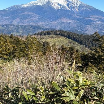 頂上手前から｡