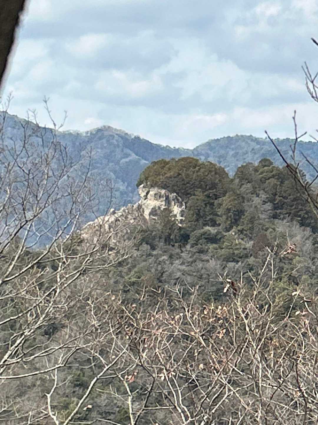 ゴリラ岩🪨　遠くからならそれなりに見えるかも