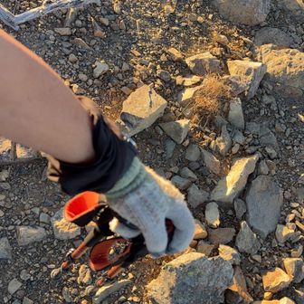 このルート反時計回りは
登りは日陰で後ろからの強めの風もあり
下りは日向で微風
オマケに急登を登って
緩斜面を降りるパターンが
多く、反時計回り
絶対、おススメです！