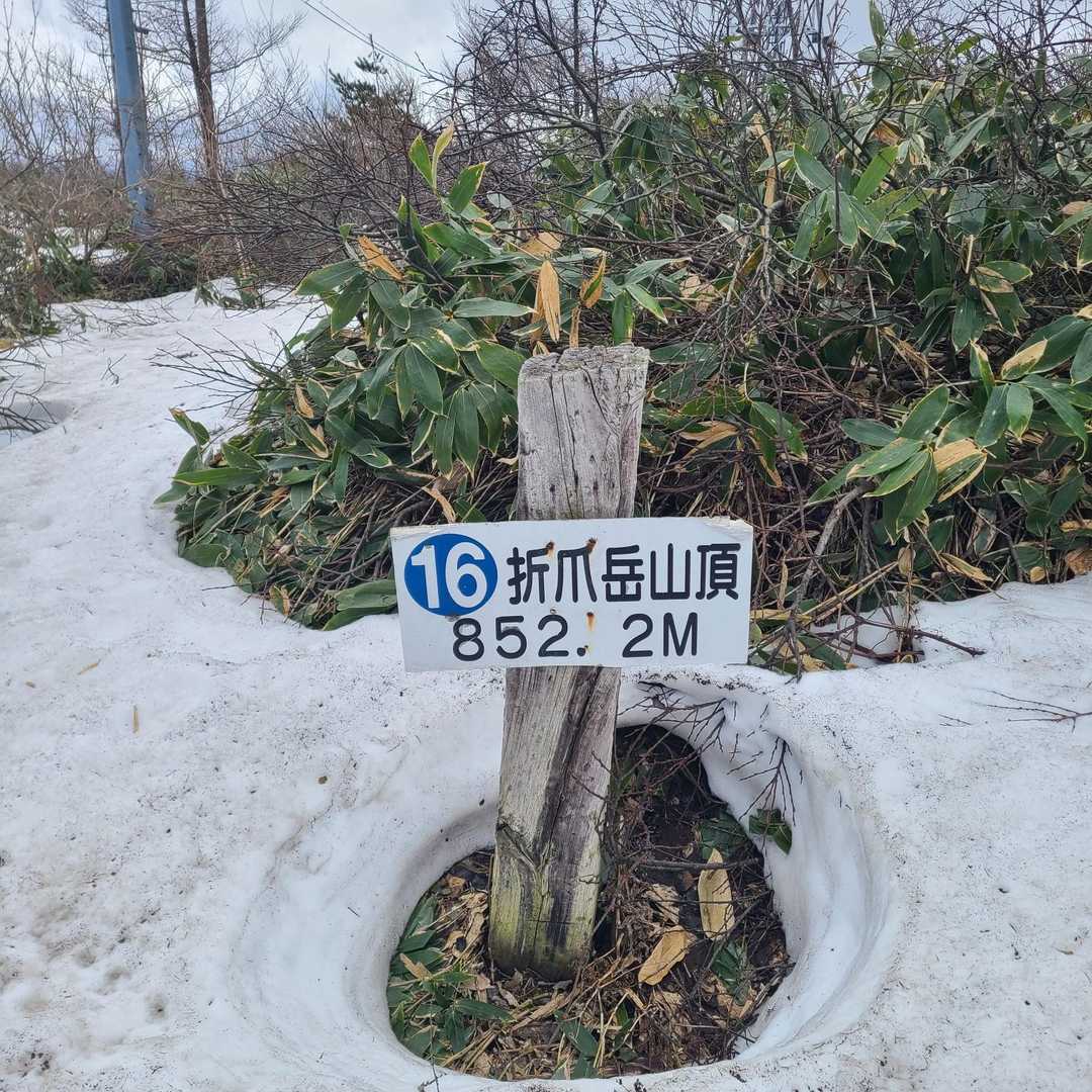 折爪岳 往復コースの写真
