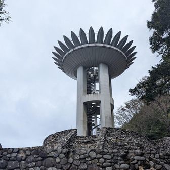 ようやく2つ目のピークに到着✨️
林道の上り坂を走り、
「たくましの道」を登ってるとき、
もうこのコース、マジでキツすぎるんだけど💦
優しいんじゃないの😂
足がパンパン😂膝ガクガク😂
ここで休憩したよー💦
きつすぎるまじで登りえげつない😰

ちなみにこの山は火が使えるんだねー🔥
パーナー使ってコーヒー飲んでる方が
いたから羨ましかったぞー☕