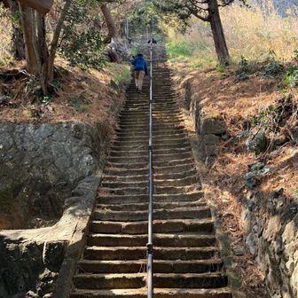 ここの階段と山頂はエグいwww
高所苦手な人は寄らないほうが良いですw
動画は後日Instagramで