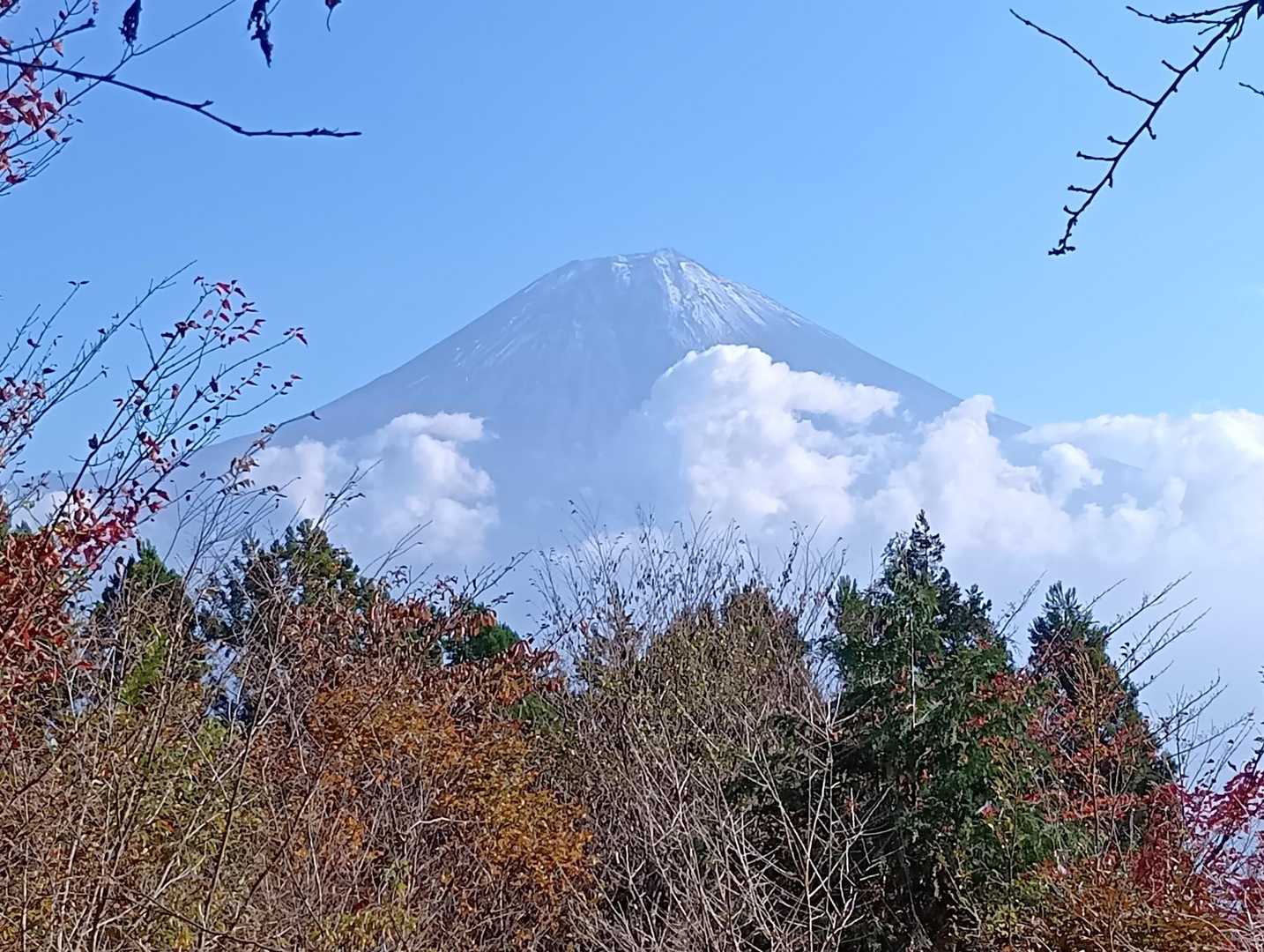 長者ヶ岳-天子ヶ岳 周回コースの写真