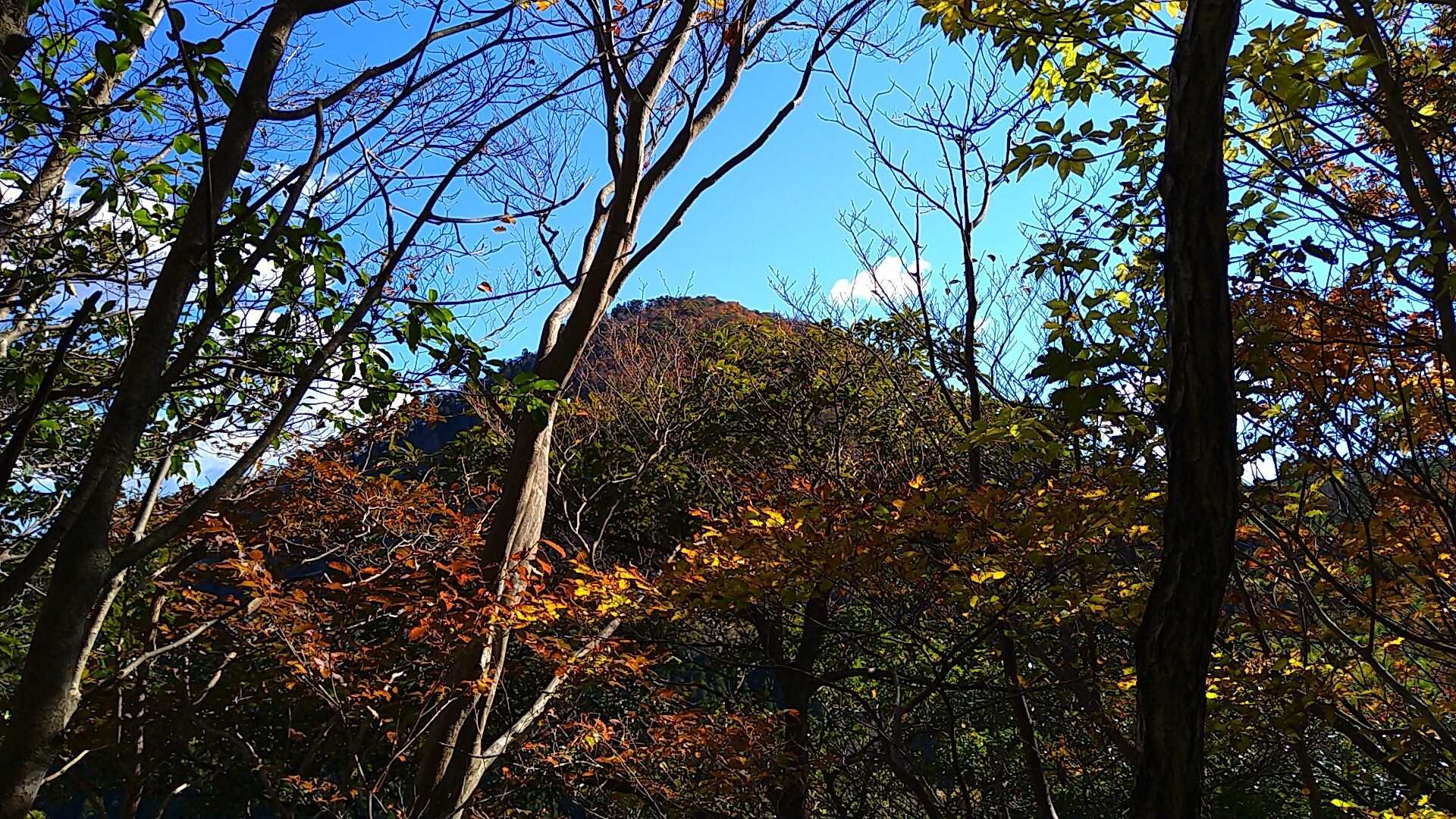 多田ヶ岳の写真