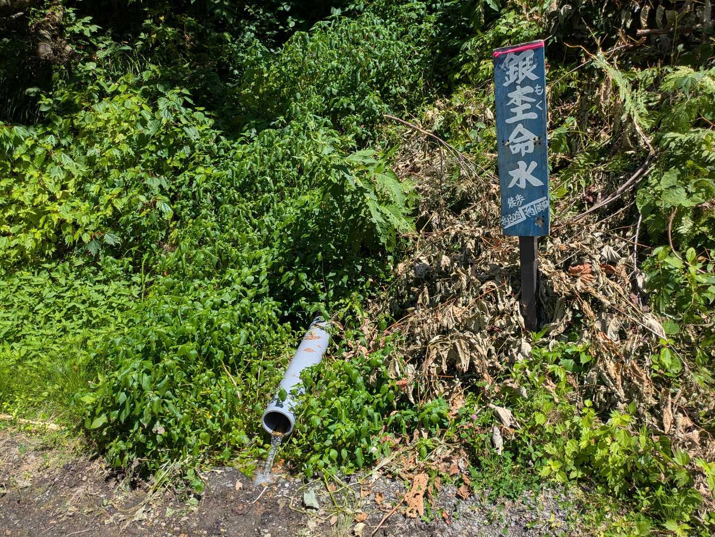 銀杢水で良いと思うんだけど