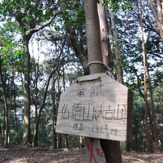 展望台で満足して帰っちゃう人が結構いますがピークにも来てほしいですね。