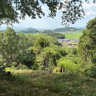 甘樫丘から見た耳成山と天香具山