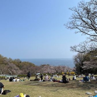 芝生広場と海　ランチは持寄り弁当、珈琲、抹茶等をいただきました♪