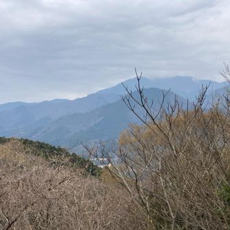 大山さんまだ見えてます