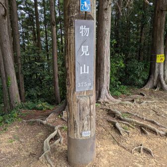 物見山。眺望はありませんがベンチがいくつかあり休憩に丁度良いです。